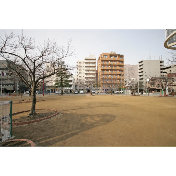 目の前には公園が