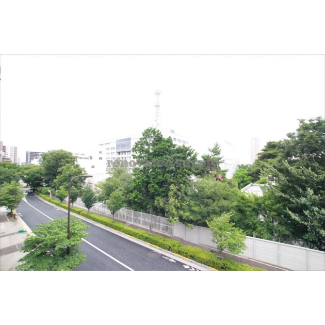 緑の多い環境